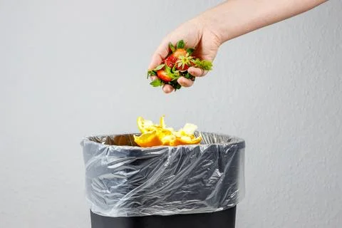Garbage can for bio waste. sorting and recycling of garbage Foto stock