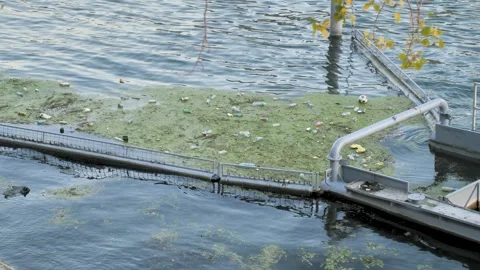 Garbage catcher with a pile of separated organic waste, plastic and glass Stock Footage 277663647