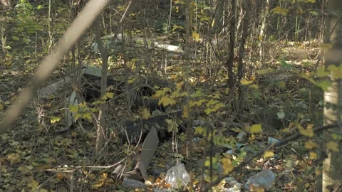 Garbage cattered in the middle of a forest Stock Footage 163768035