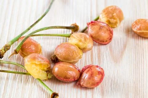 Garbage cherries Foto stock