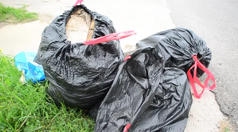 Garbage Clean up Stock Footage 39637316