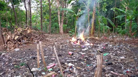 Garbage Cleaning Process in the Garden with Manual Technology Stock Footage 290032593