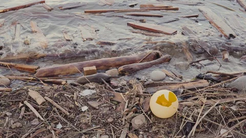 Garbage Cluster on the Spring River In City Park Stock Footage 127802401