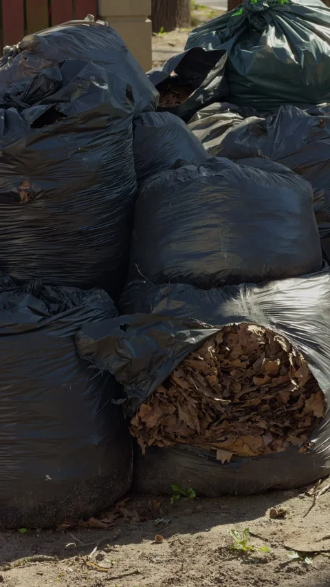 Garbage clutter scene. Piled black trash bags outdoors. Area of scattered trash Stock Footage 333260621