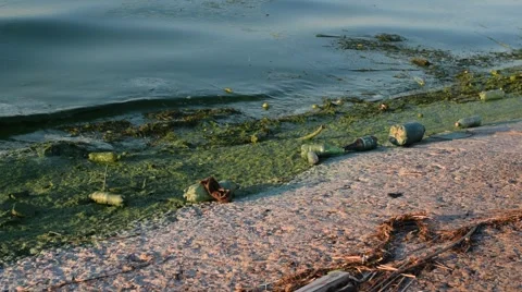 Garbage on coast with dirty water Stock Footage 67437634