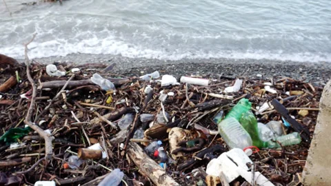 Garbage on the coast of the ocean beach Stock Footage 255901790