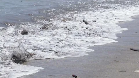 Garbage with coconuts on a beah of indian ocean in Bali Stock Footage 104925747