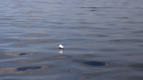 Garbage Coffee Cup Floating on a Polluted Dirty Beach Sea Ocean Climate Change 스톡 동영상 207933120