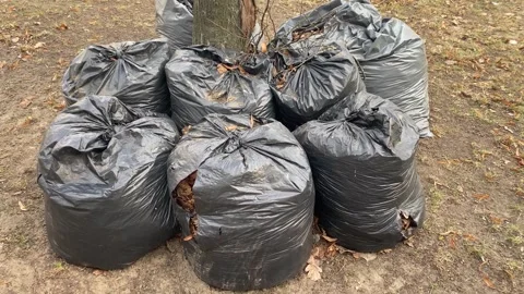 Garbage is collected in garbage bags and stands on the street, the cleaner .. Stock Footage 309134223