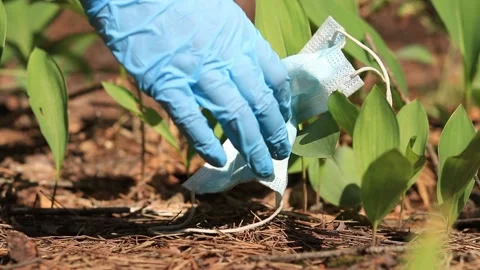 Garbage collection in the forest in summer Stock Footage 199441087