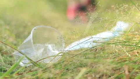 Garbage collection in the forest in summer Stock Footage 199441115