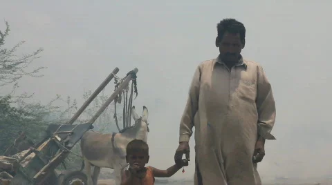 Garbage Collector and Sons in Front of Burning Rubbish Dump Stock Footage