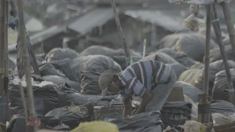 Garbage collector bantargebang 스톡 동영상 222505975