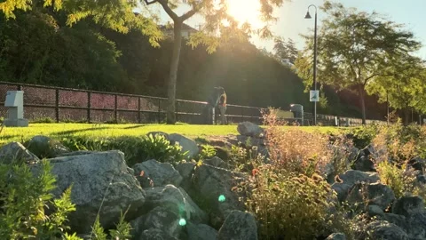 Garbage Collector Stock Footage 139021085