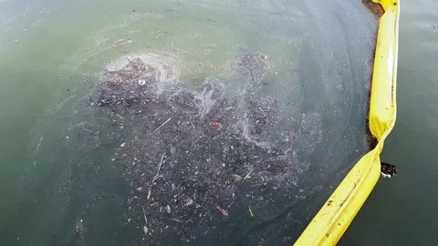 Garbage collector Stock-Footage 170069230