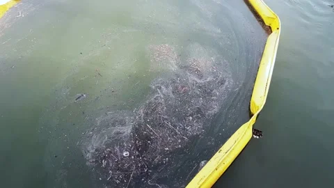 Garbage collector Stock-Footage 170069257