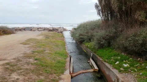 Garbage collector Stock-Footage 170069299