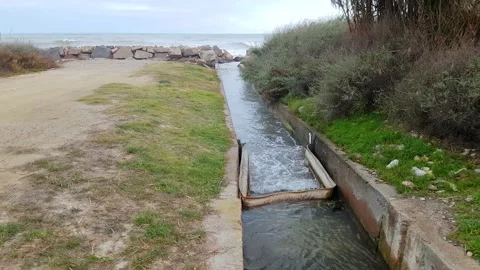 Garbage collector Stock-Footage 170069301