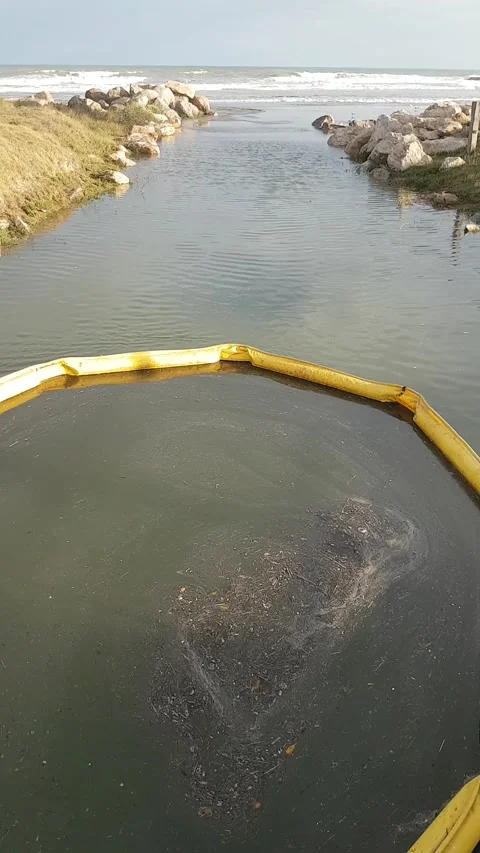 Garbage collector Stock-Footage 170069338