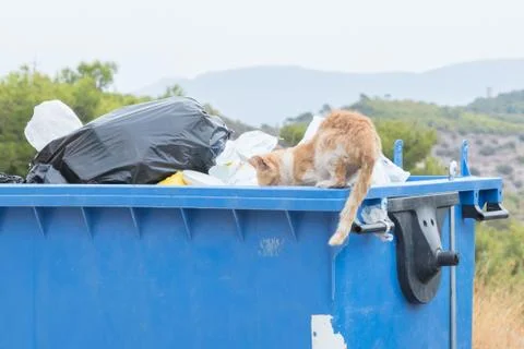 Garbage container in Greece Stock Photos