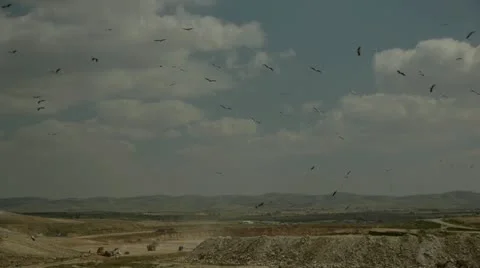 Garbage dump 0213 6 Vídeos de archivo 22064515