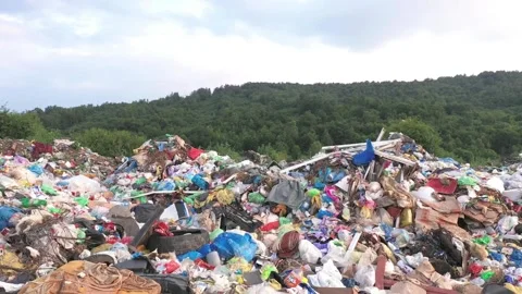 Garbage Dump and Green Forest Stock Footage 308339581