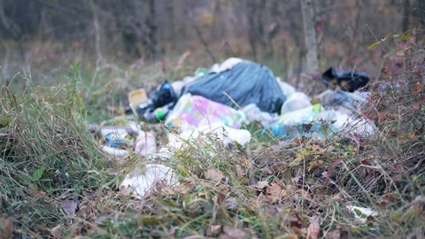 Garbage dump in the autumn forest. Ecological disaster, irresponsibility and Stock Footage 119989391