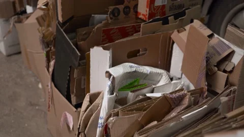 Garbage dump, cardboard boxes. Close-up. Waste recycling. Environmental Stock Footage 168132347