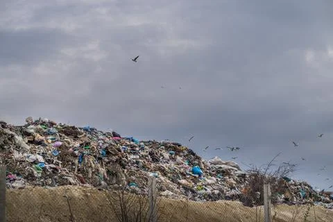 Garbage dump. Environmental pollution. Ecological problems. 写真素材