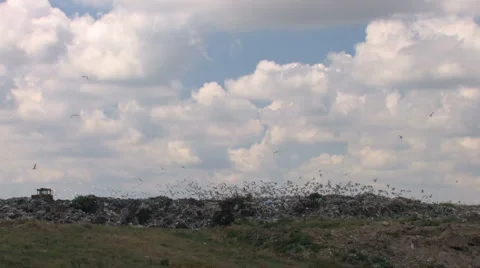 Garbage Dump Stock Footage 959087