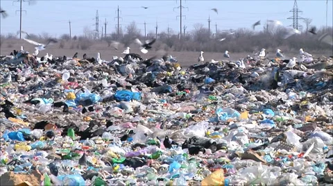 Garbage dump Stock Footage 1087865