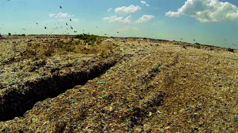 Garbage dump Stock Footage 48553047