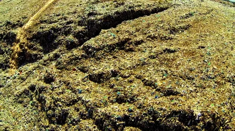 Garbage dump Stock Footage 48553151