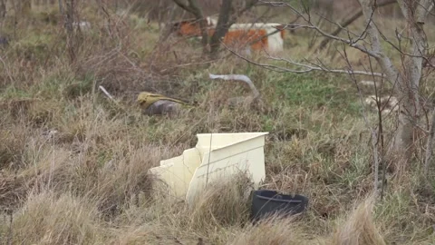 Garbage dump Video stock 147942842