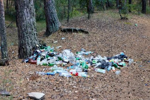 Garbage dump in forest. destruction of the ecosystem Stock Photos