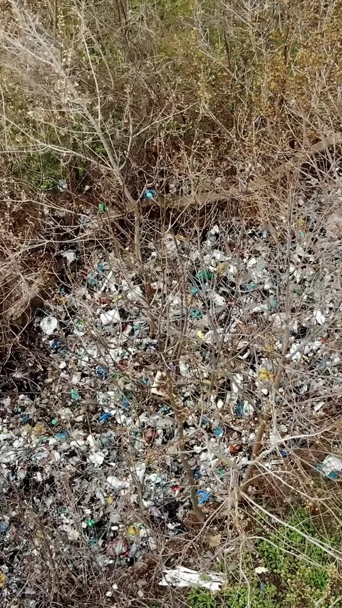 Garbage dump in forest. Ecological Problem. Illegal garbage dump in the middle Stock Footage 319777257