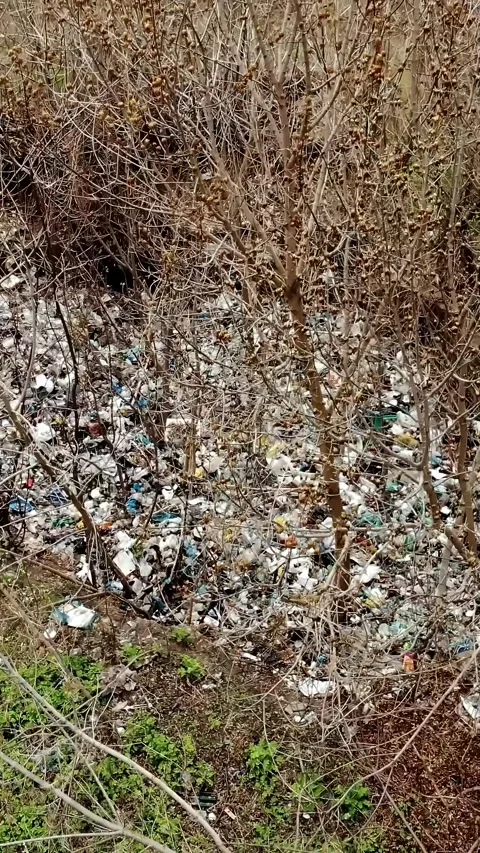 Garbage dump in forest. Ecological Problem. Illegal garbage dump in the middle Stock Footage 319901031