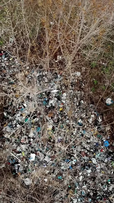 Garbage dump in forest. Ecological Problem. Illegal garbage dump in the middle Stock Footage 319994325