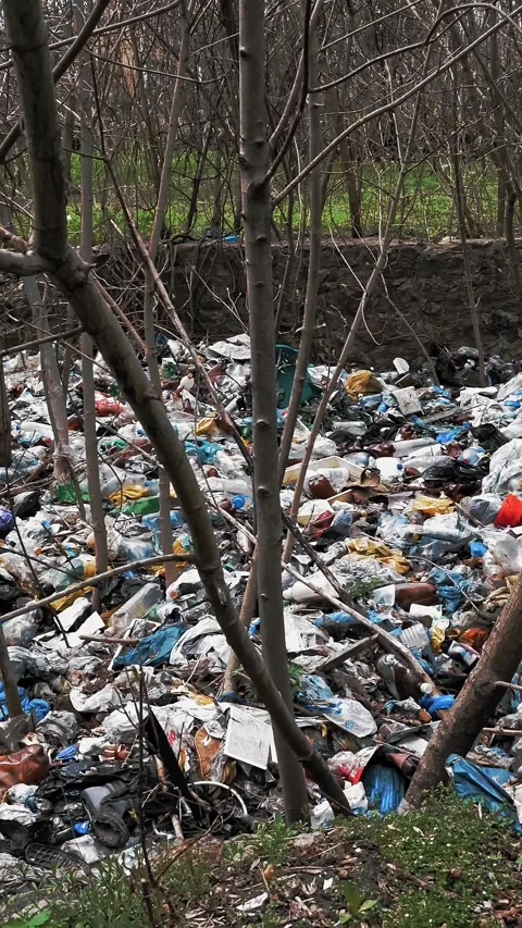 Garbage dump in forest. Ecological Problem. Illegal garbage dump in the middle Stock Footage 319994346