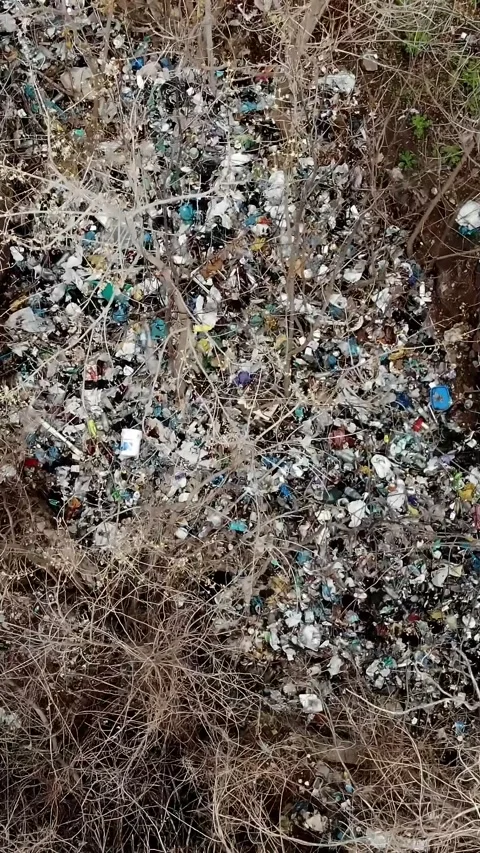 Garbage dump in forest. Ecological Problem. Illegal garbage dump in the middle Stock Footage 320302937