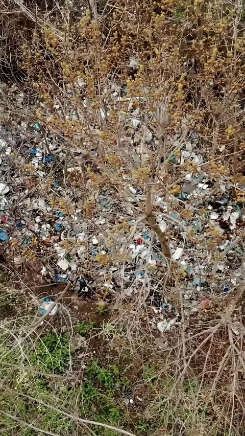 Garbage dump in forest. Ecological Problem. Illegal garbage dump in the middle Stock Footage 320303036