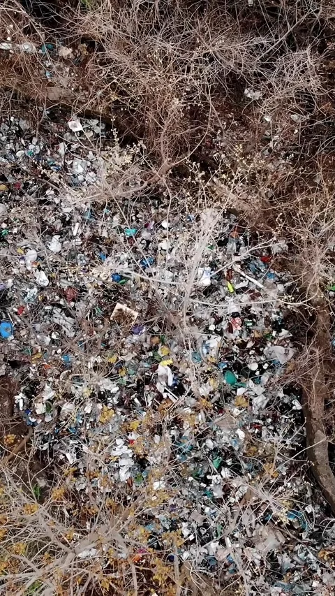 Garbage dump in forest. Ecological Problem. Illegal garbage dump in the middle Stock Footage 320534605