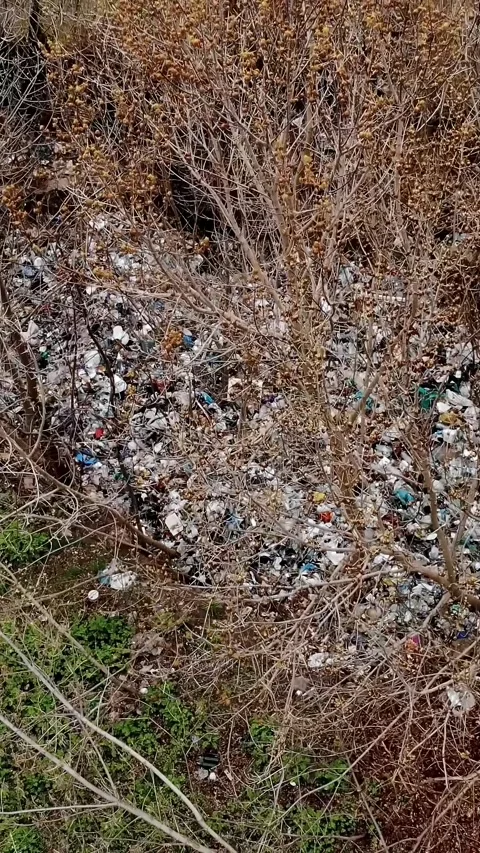 Garbage dump in forest. Ecological Problem. Illegal garbage dump in the middle Stock Footage 320774969