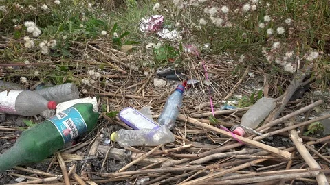 Garbage dump in forest. Environmental issue, pollution of the surrounding nature Video stock 97212576