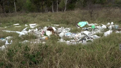 Garbage dump in forest. Environmental issue, pollution of the surrounding nature Stock Footage 97212589