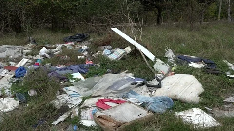 Garbage dump in forest. Environmental issue, pollution of the surrounding nature Stock Footage 97212792
