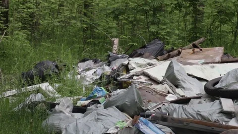 Garbage dump in the forest, environmental pollution, sunny summer day, forest Video stock 76793329