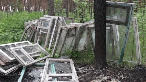 Garbage dump in the forest, environmental pollution, sunny summer day, forest Stock Footage 76793330