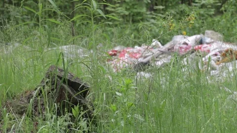 Garbage dump in the forest, environmental pollution, sunny summer day, forest Video stock 76793348