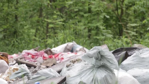 Garbage dump in the forest, environmental pollution, sunny summer day, forest Video stock 76793366